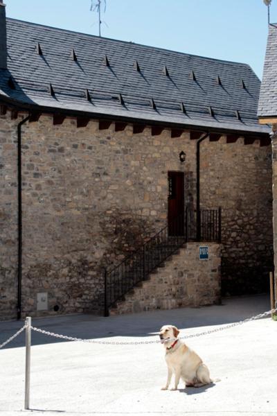 Hostal Rural Casa Parda Tramacastilla de Tena Exterior photo